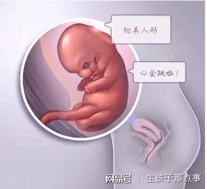 专家肖像